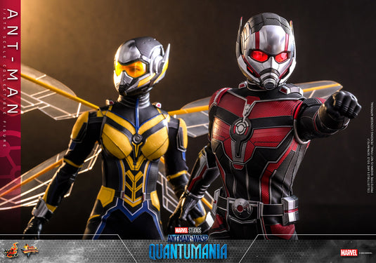 Hot Toys - Ant-Man and The Wasp Quantumania: Ant-Man