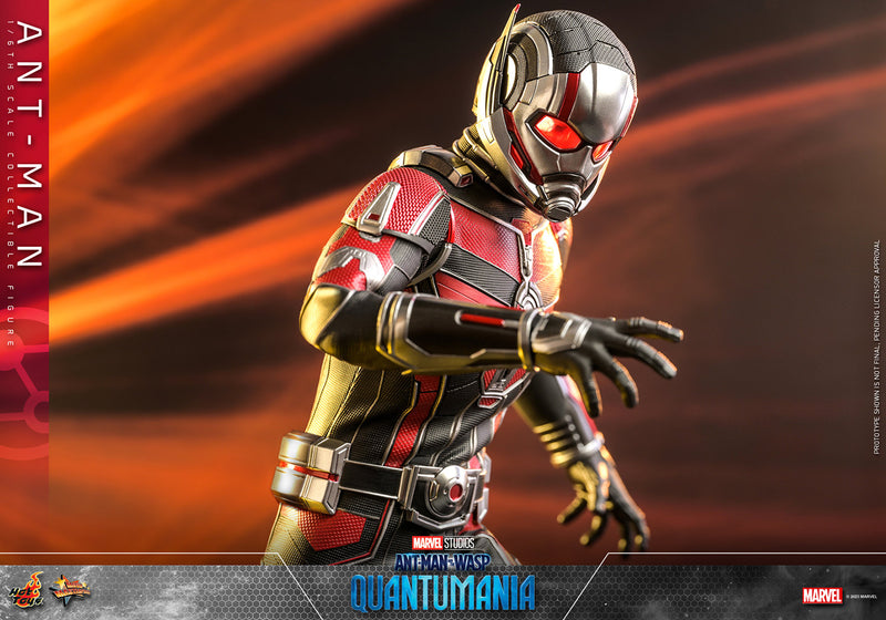 Load image into Gallery viewer, Hot Toys - Ant-Man and The Wasp Quantumania: Ant-Man
