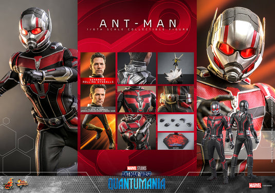 Hot Toys - Ant-Man and The Wasp Quantumania: Ant-Man