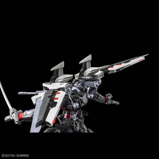 High-Resolution Model 1/100 - Gundam Astray Noir