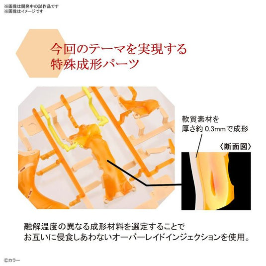 Bandai - Figure-Rise Labo: Shikinami Asuka Langley
