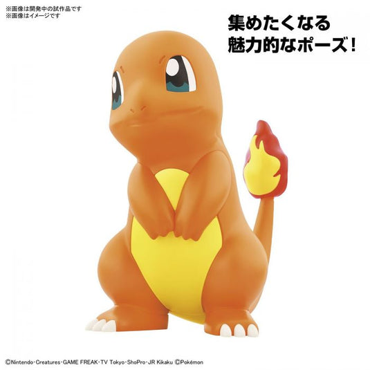 Bandai - Pokemon Model Kit Quick - 11 Charmander