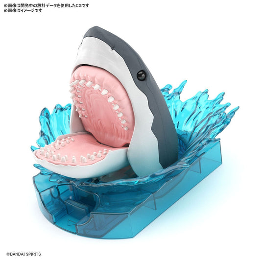 Bandai - Exploring Lab Nature: Great White Shark (Carcharodon Carcharias)