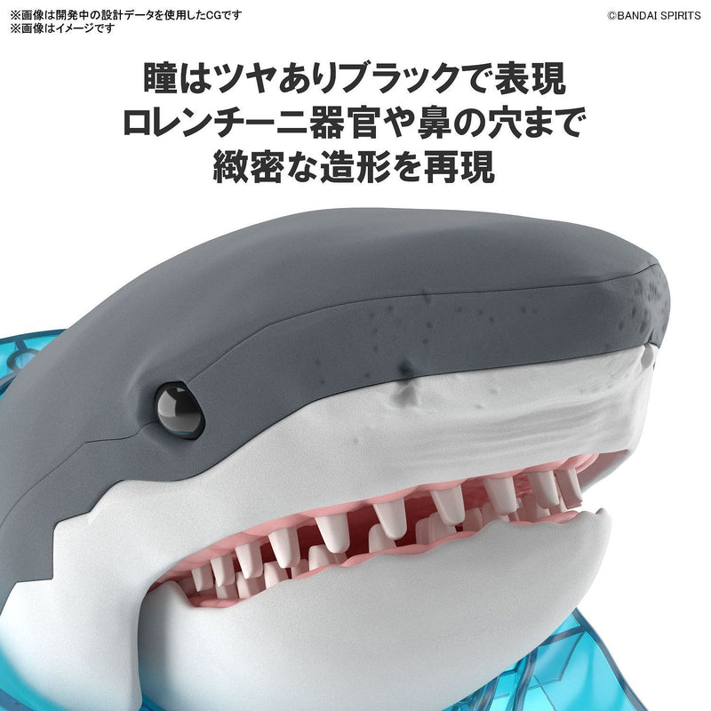 Load image into Gallery viewer, Bandai - Exploring Lab Nature: Great White Shark (Carcharodon Carcharias)
