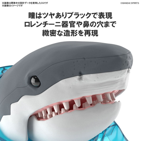 Bandai - Exploring Lab Nature: Great White Shark (Carcharodon Carcharias)