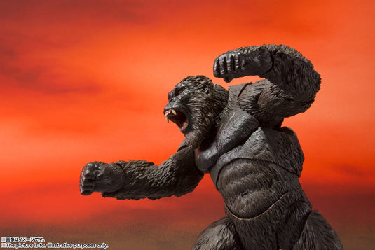 Bandai - S.H.Monsterarts Godzilla VS King Kong [2021]: King Kong
