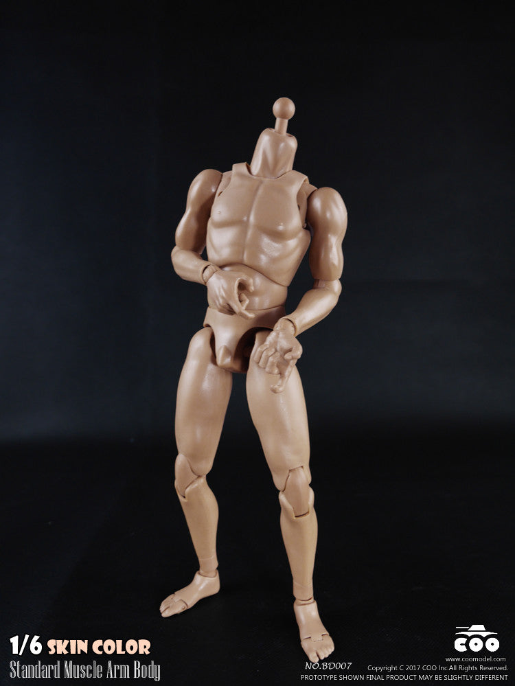 Load image into Gallery viewer, COO Model - Standard Muscle Arm Body
