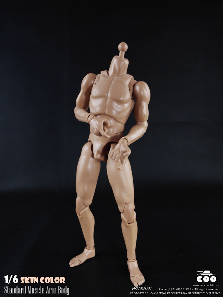 Load image into Gallery viewer, COO Model - Standard Muscle Arm Body - Tall
