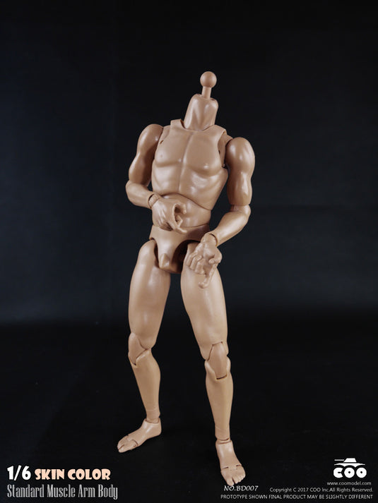 COO Model - Standard Muscle Arm Body - Tall