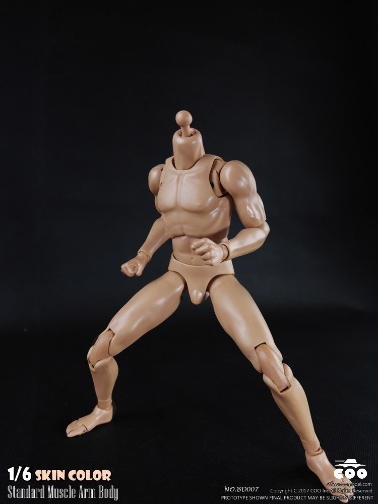 Load image into Gallery viewer, COO Model - Standard Muscle Arm Body - Tall
