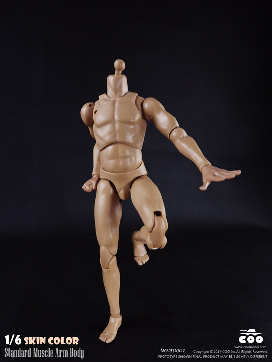 COO Model - Standard Muscle Arm Body - Tall