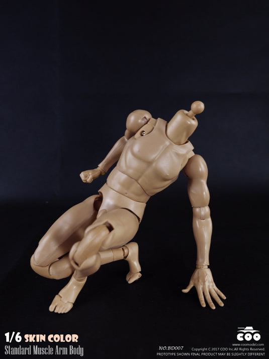 COO Model - Standard Muscle Arm Body - Tall