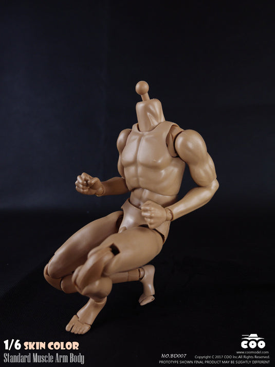 COO Model - Standard Muscle Arm Body