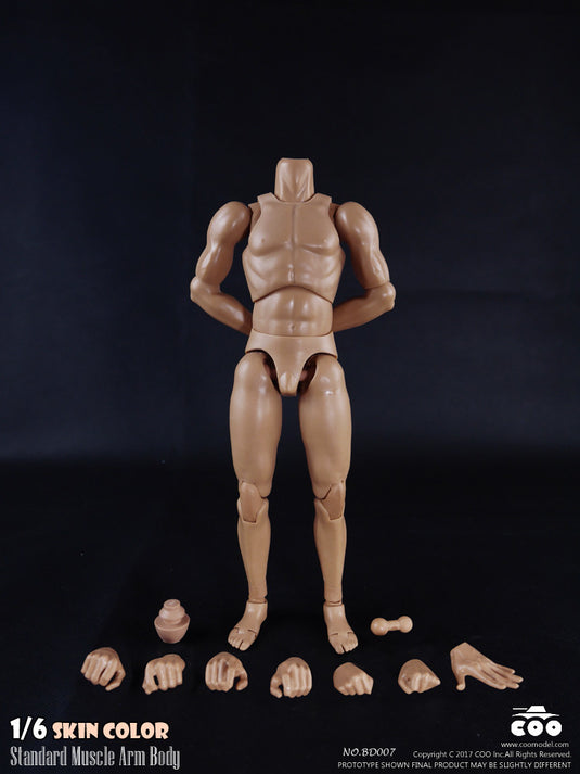 COO Model - Standard Muscle Arm Body