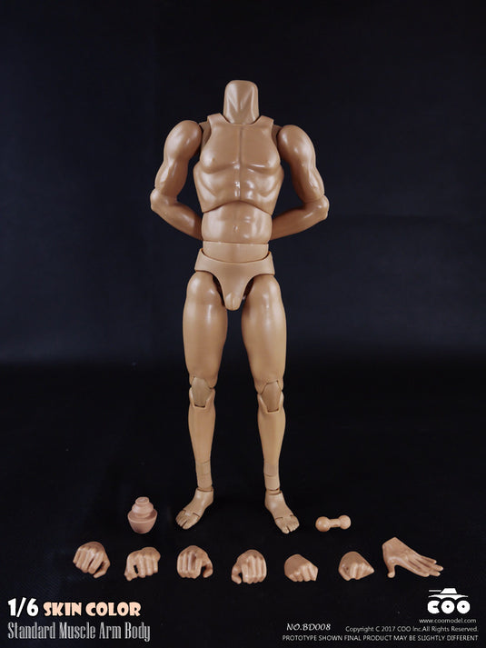 COO Model - Standard Muscle Arm Body - Tall