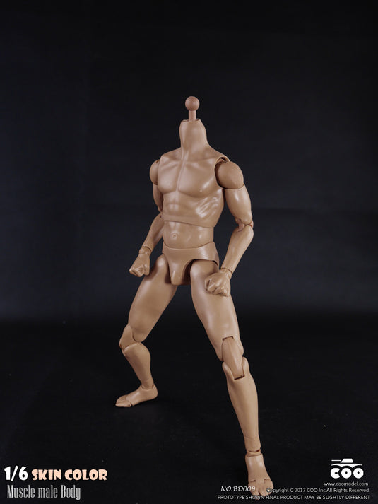 COO Model - Muscle Male Body - Tall