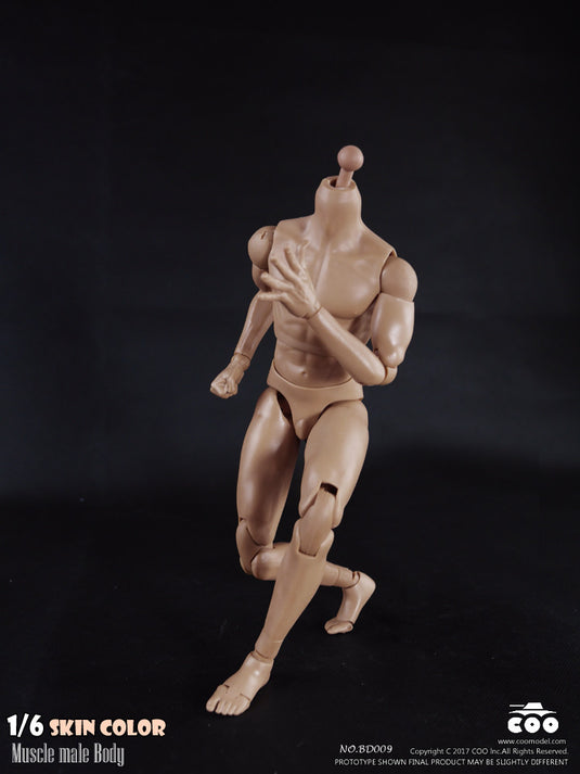 COO Model - Muscle Male Body
