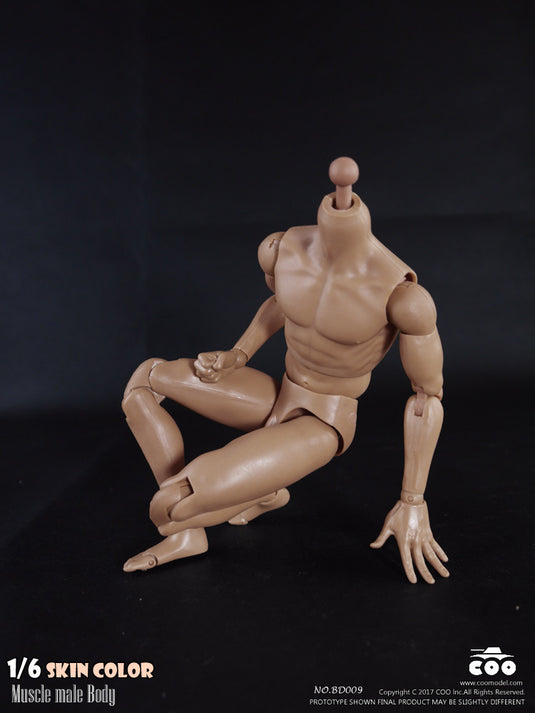 COO Model - Muscle Male Body