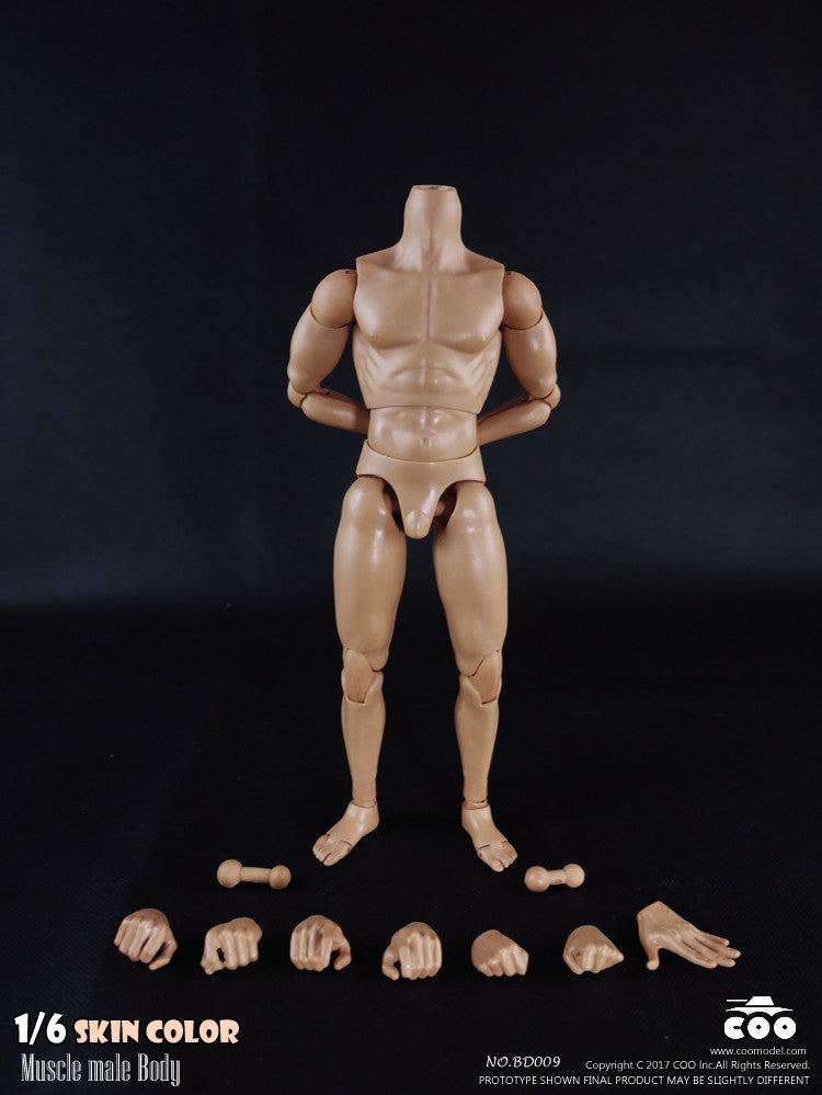 Load image into Gallery viewer, COO Model - Muscle Male Body
