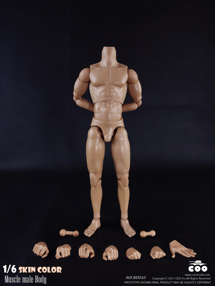Load image into Gallery viewer, COO Model - Muscle Male Body - Tall
