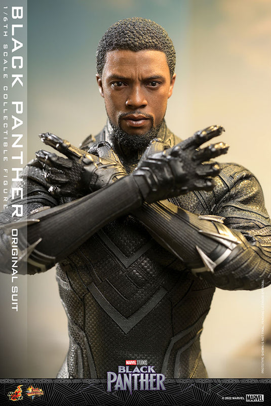 Hot Toys -  Black Panther (Original Suit)