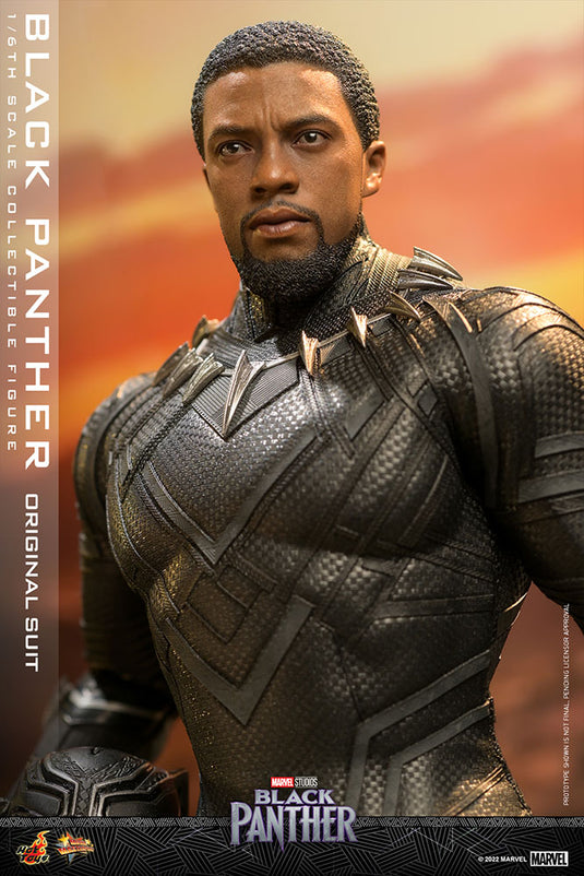 Hot Toys -  Black Panther (Original Suit)