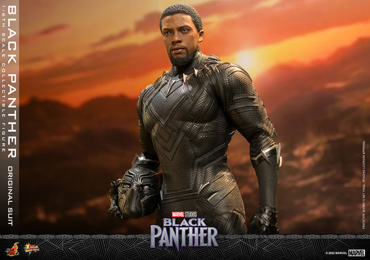 Hot Toys -  Black Panther (Original Suit)