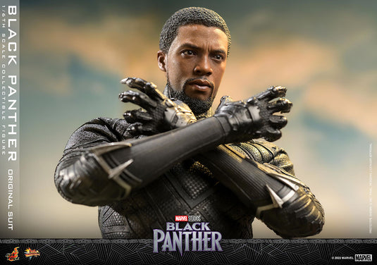 Hot Toys -  Black Panther (Original Suit)