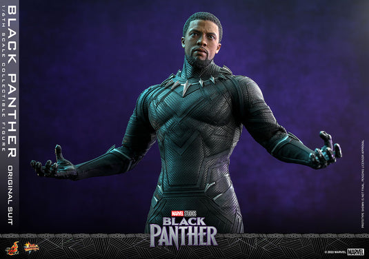 Hot Toys -  Black Panther (Original Suit)