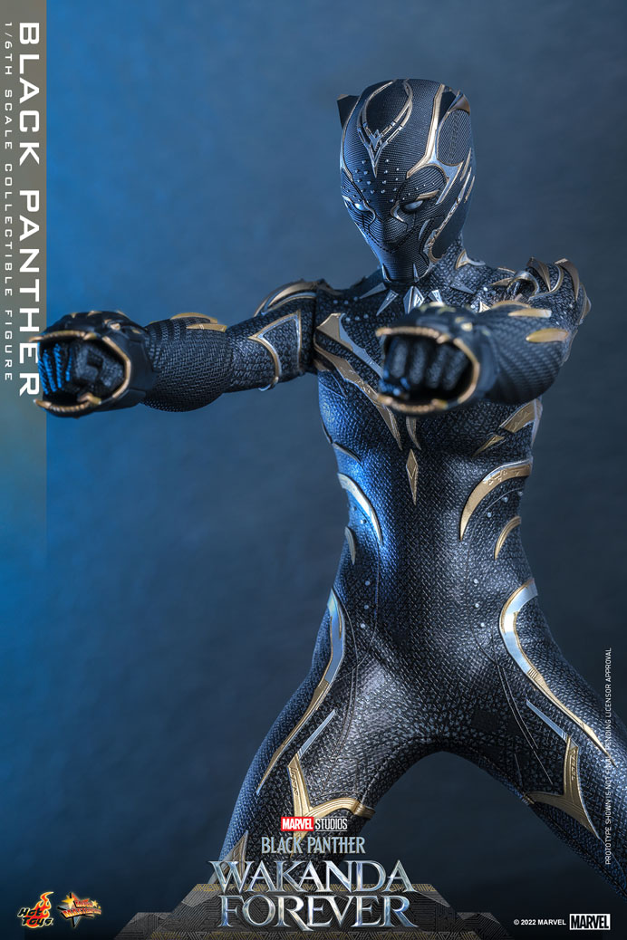 Load image into Gallery viewer, Hot Toys - Black Panther: Wakanda Forever - Black Panther
