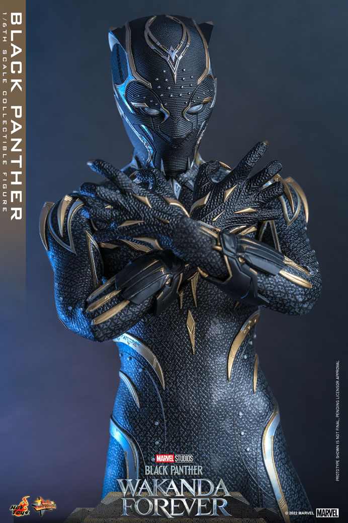 Load image into Gallery viewer, Hot Toys - Black Panther: Wakanda Forever - Black Panther

