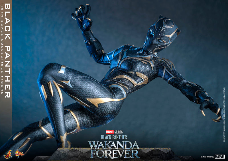 Load image into Gallery viewer, Hot Toys - Black Panther: Wakanda Forever - Black Panther
