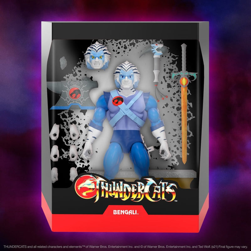 Load image into Gallery viewer, Super 7 - Thundercats Ultimates Wave 5 set of 4
