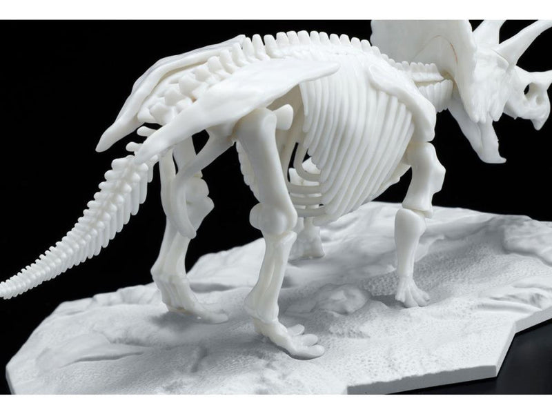 Load image into Gallery viewer, Bandai - Dinosaur Skeleton: Triceratops
