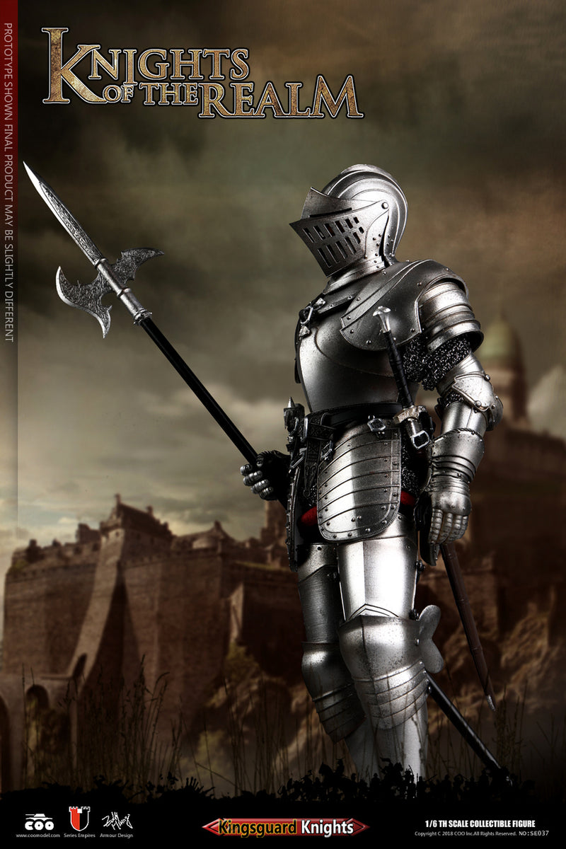 Load image into Gallery viewer, COO Model - Knights of the Realm - Kingsguard
