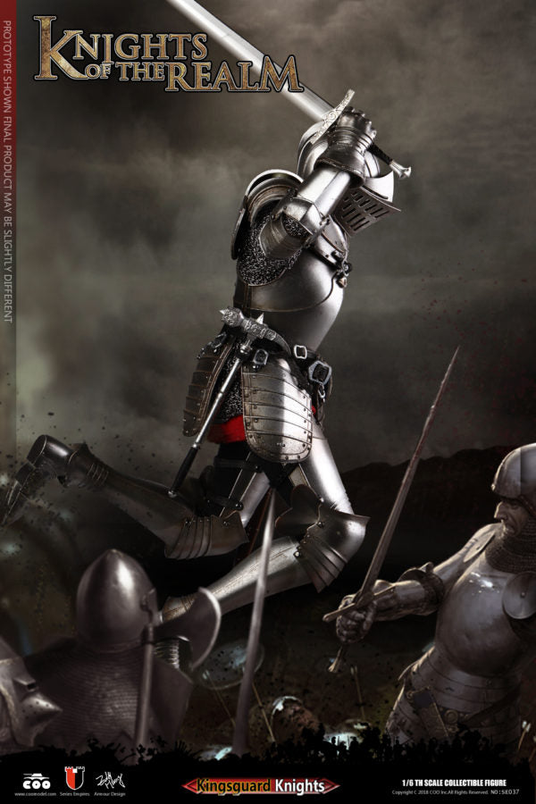 Load image into Gallery viewer, COO Model - Knights of the Realm - Kingsguard
