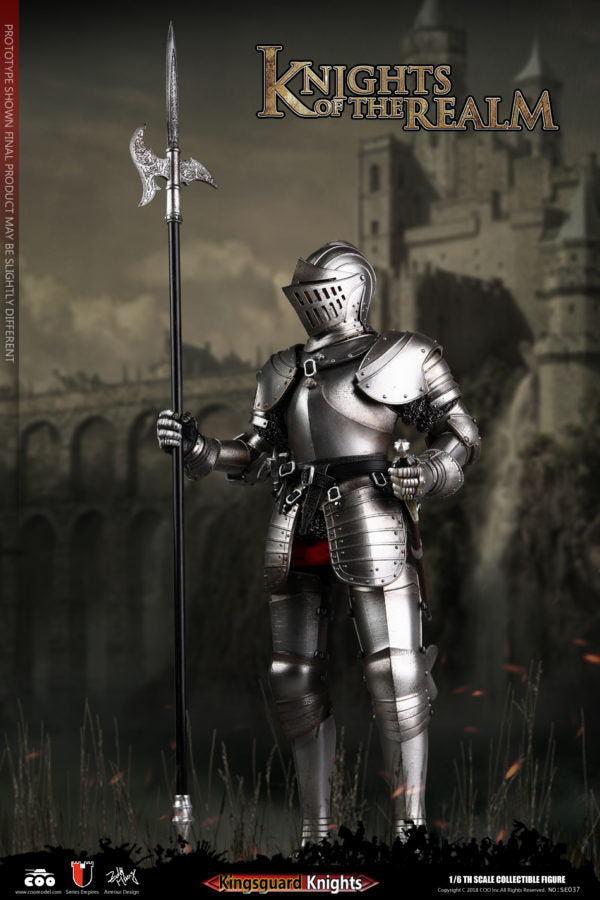 Load image into Gallery viewer, COO Model - Knights of the Realm - Kingsguard
