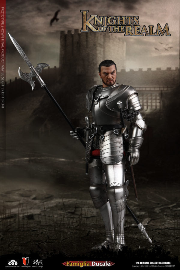 Load image into Gallery viewer, COO Model - Knights of the Realm - Kingsguard
