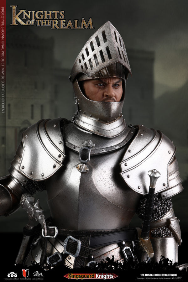Load image into Gallery viewer, COO Model - Knights of the Realm - Kingsguard

