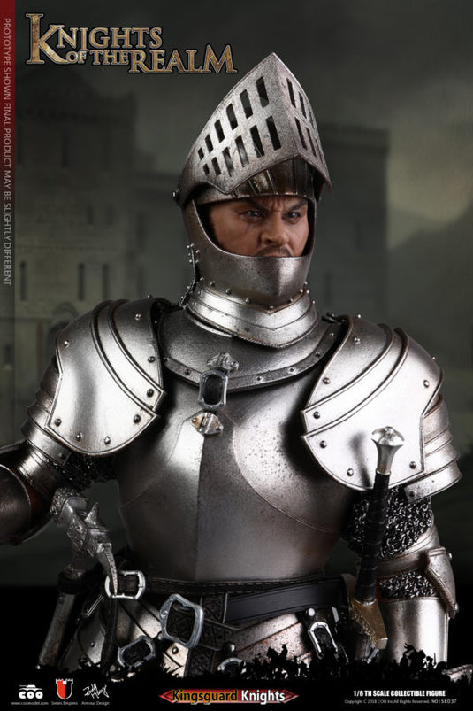 COO Model - Knights of the Realm - Kingsguard