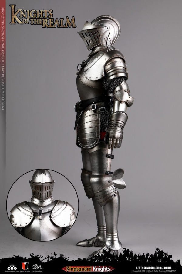 Load image into Gallery viewer, COO Model - Knights of the Realm - Kingsguard
