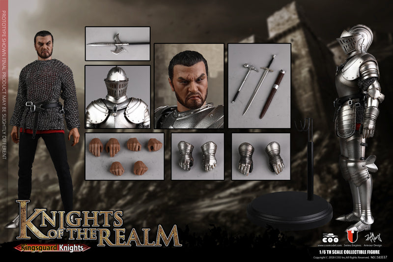 Load image into Gallery viewer, COO Model - Knights of the Realm - Kingsguard
