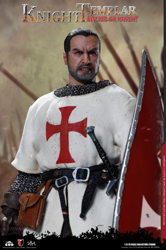 COO Model - Bachelor of Knights Templar