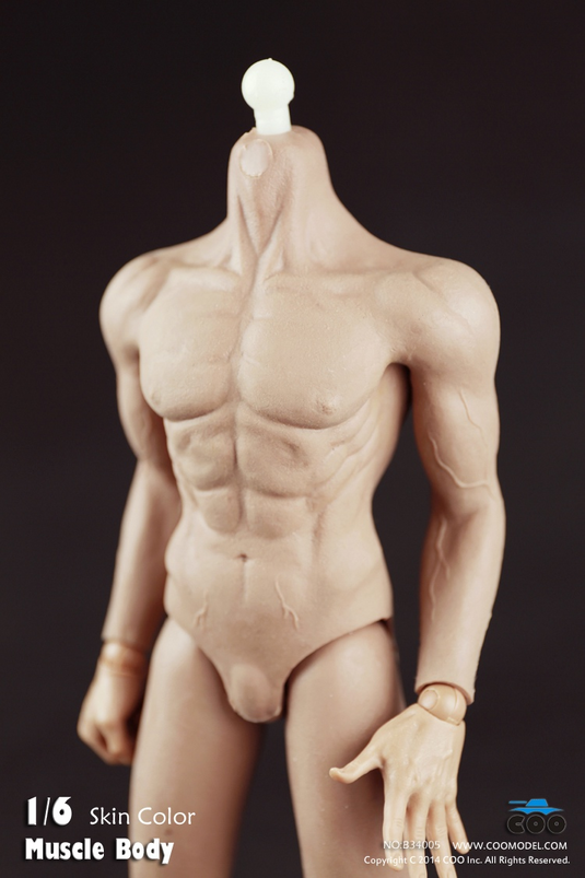 COO Model - Rubber Muscular Male Body CM-B34005