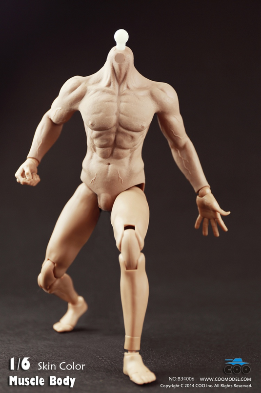 COO Model - Hybrid Rubber Muscular Male Body CM-B34006