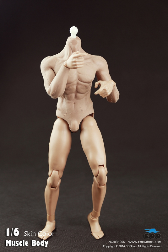 COO Model - Hybrid Rubber Muscular Male Body CM-B34006