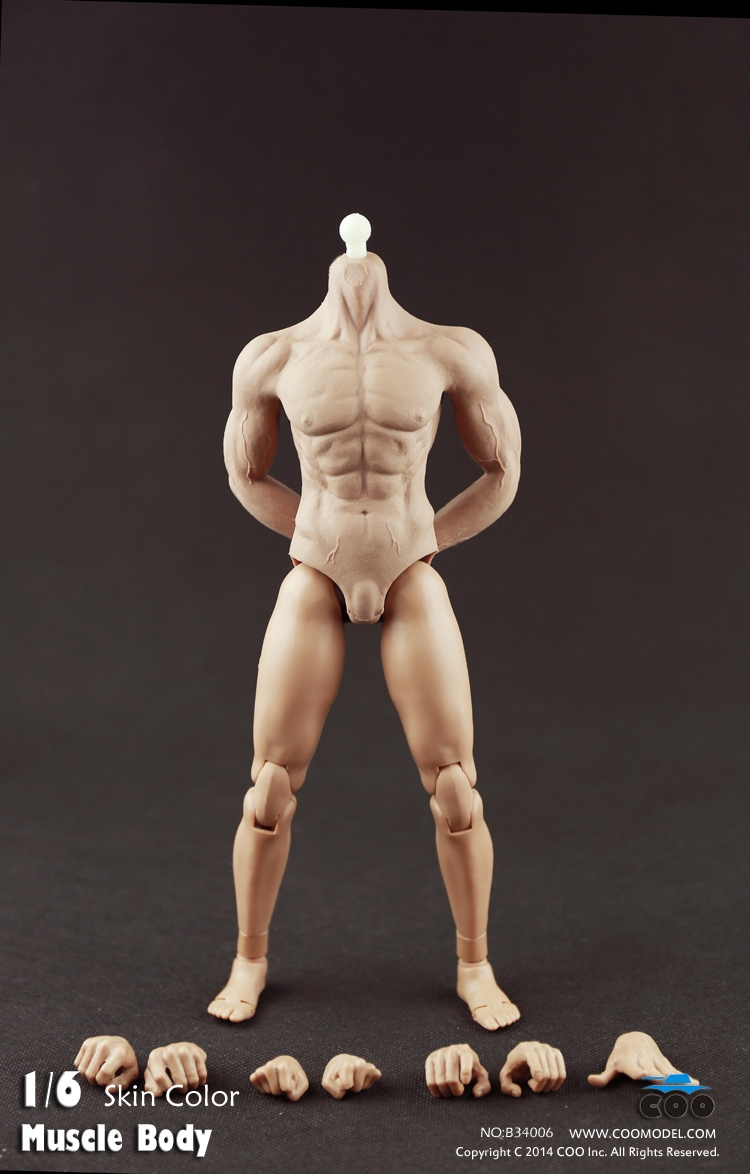 Load image into Gallery viewer, COO Model - Hybrid Rubber Muscular Male Body CM-B34006
