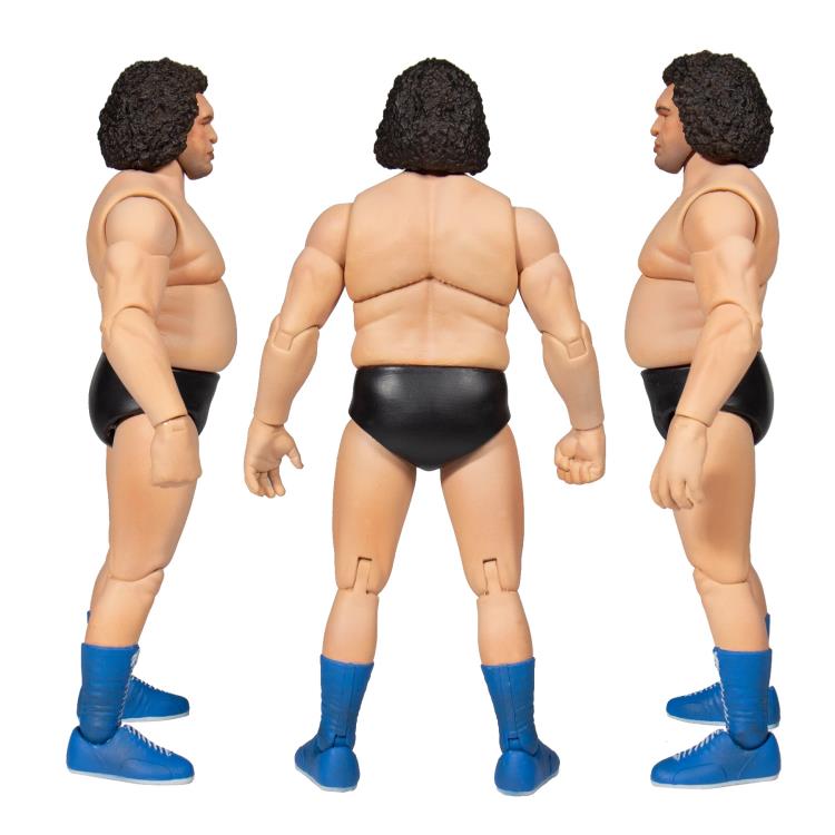 Load image into Gallery viewer, Super 7 - Andre The Giant Ultimates: Andre The Giant
