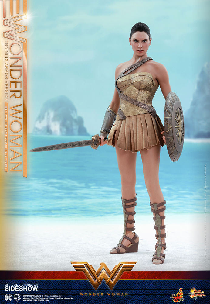 Load image into Gallery viewer, Hot Toys - Wonder Woman Training Armor Version
