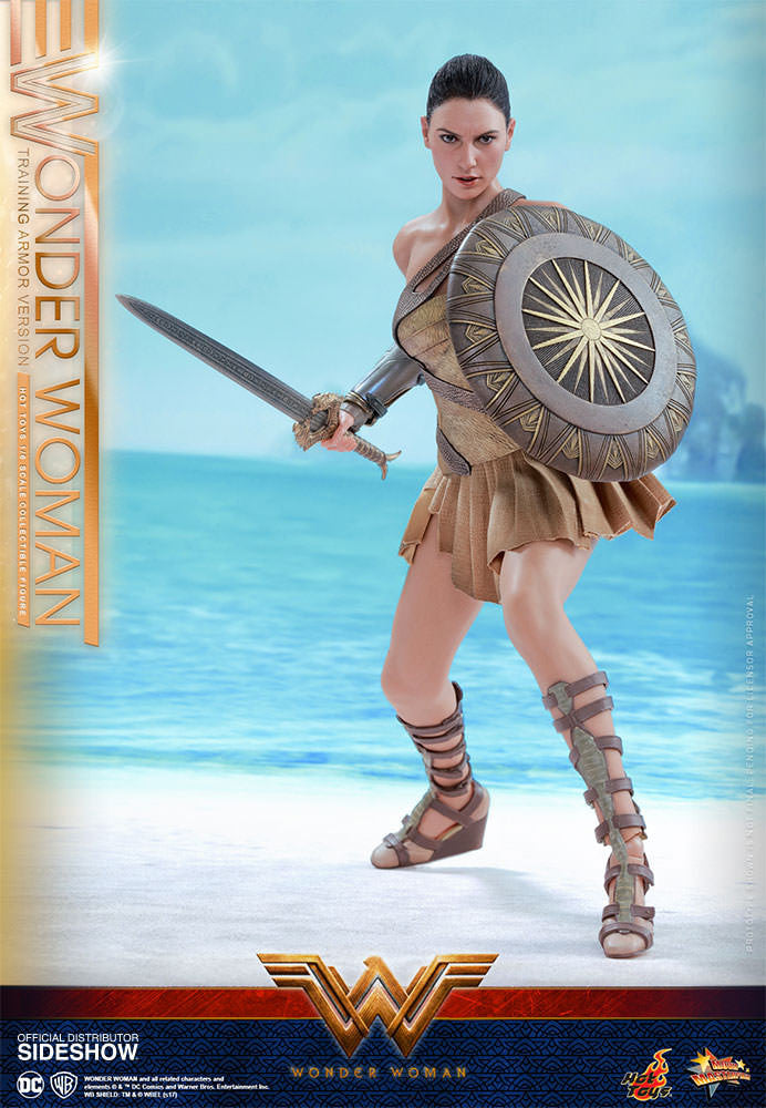 Load image into Gallery viewer, Hot Toys - Wonder Woman Training Armor Version
